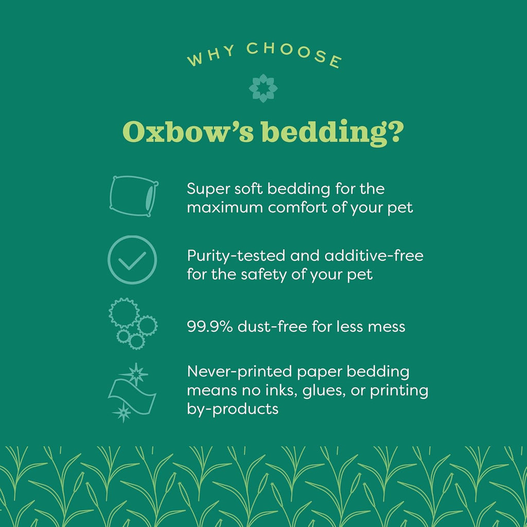 Small Animal Bedding, Hamster, Guinea Pig, Rabbit, White, USA, 72 L | Pure Comfort, Hamster Bedding, Guinea Pig