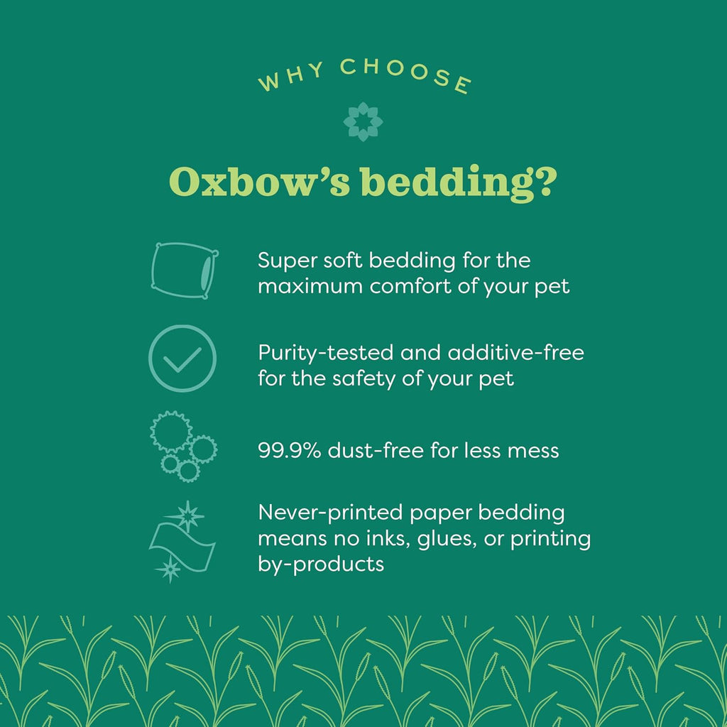 Small Animal Bedding, Hamster, Guinea Pig, Rabbit, White, USA, 36 L | Pure Comfort, Hamster Bedding, Guinea Pig