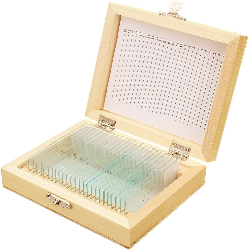 25Pcs Prepared Microscope Slides Set with Fitted Wooden Case, Animals Insects Plants Flowers Sample Biological