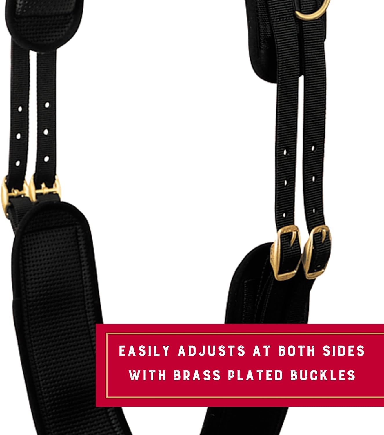 Adjustable Surcingles for Horses with Shock-Absorbing Neoprene, Brass Plated Buckles & Dee Rings for Side Reins, Fits