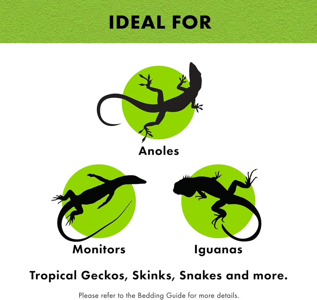 Reptile Carpet Terrarium Floor Liner, Green, 10G, 9.75 x 19.75