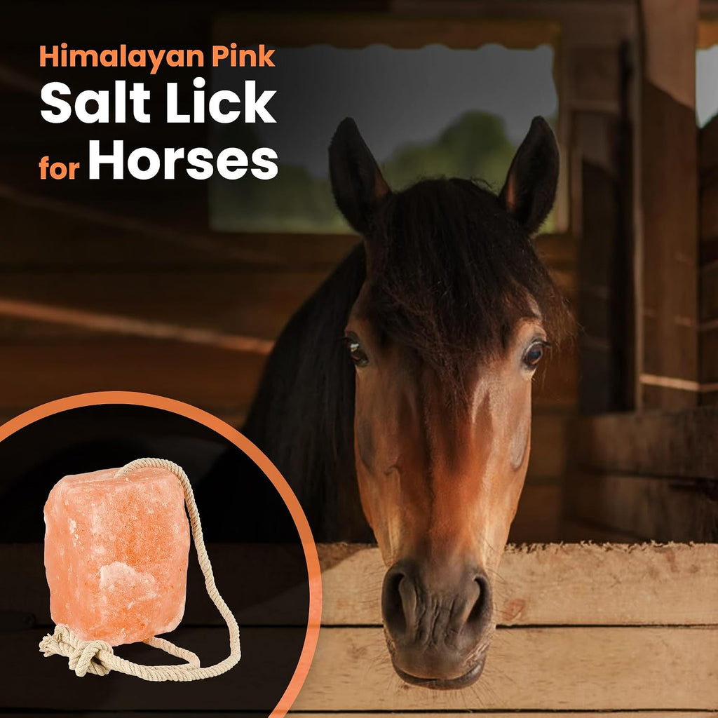 5–6 lbs Salt Lick for Horses Natural Mineral Block for Horses and Livestock