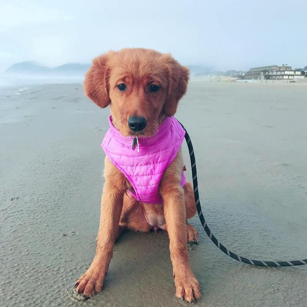 Puffer Vest Dog Jacket - Purple, Small - Ultra Thin Wind Breaker with Dual D Ring Leash - Water Resistant Small Dog