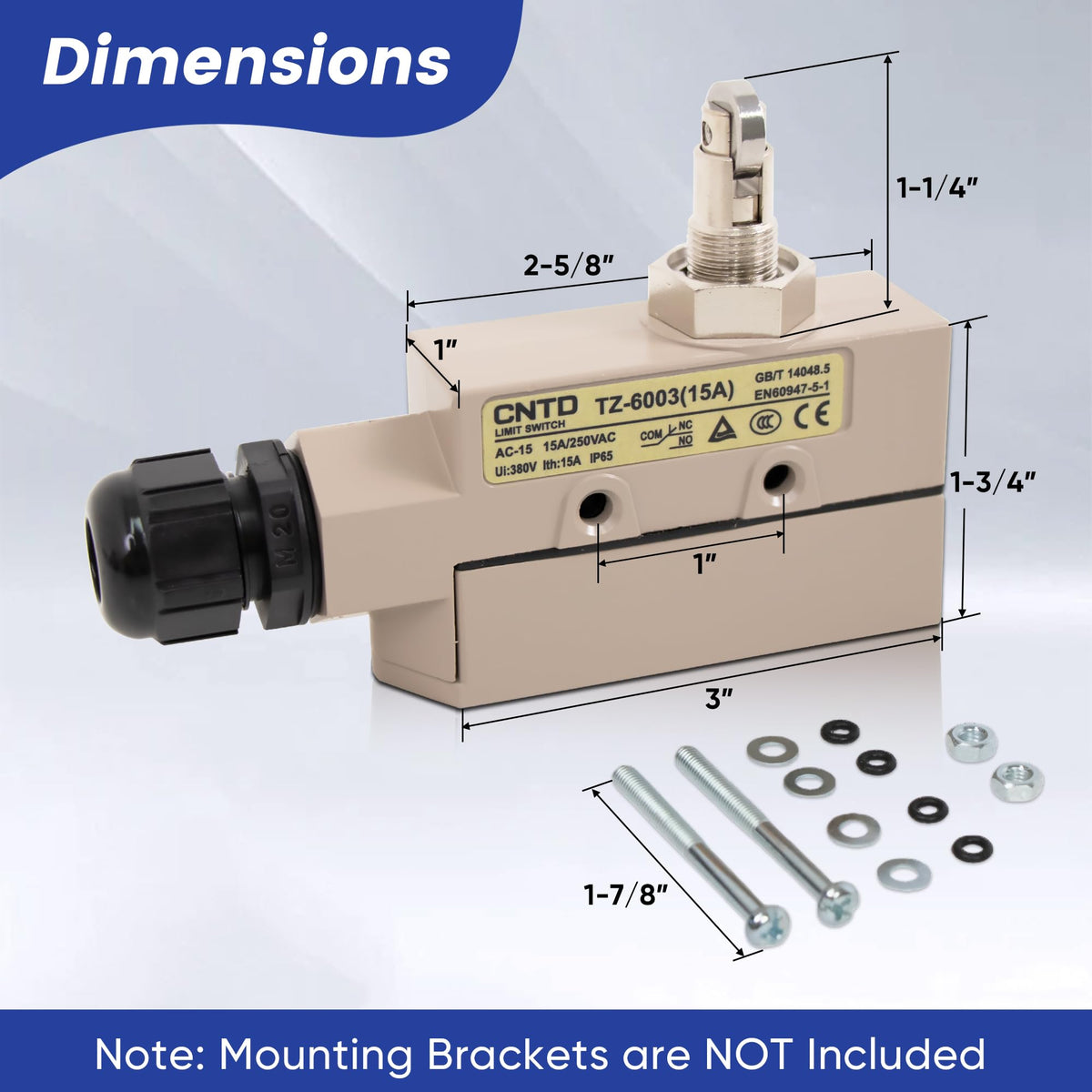 Liyufecor CNTD TZ-6003 15A Heavy Duty Micro Switch