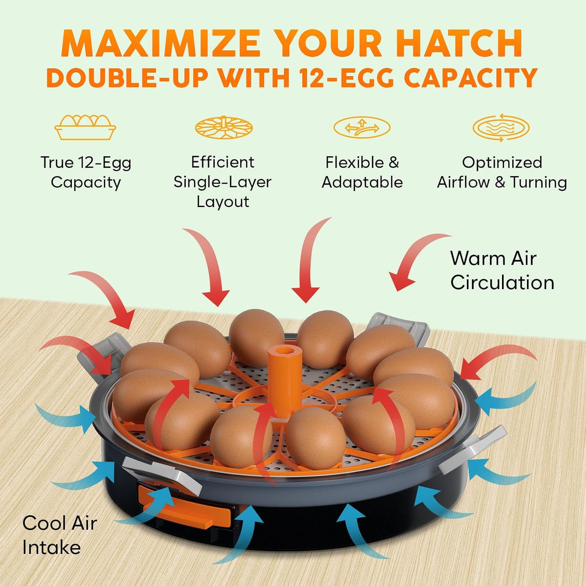 12 Capacity Egg Incubator with Automatic Turning and Candler