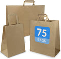 Paper Bags w/Handles, Kraft | Assorted Large Sizes