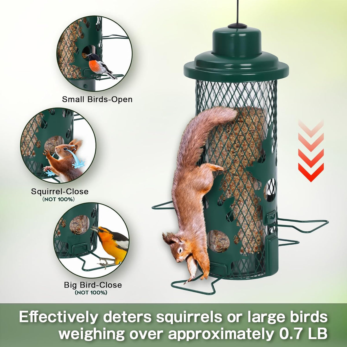 Metal Squirrel Proof Bird Feeders for Outdoors Hanging, Green