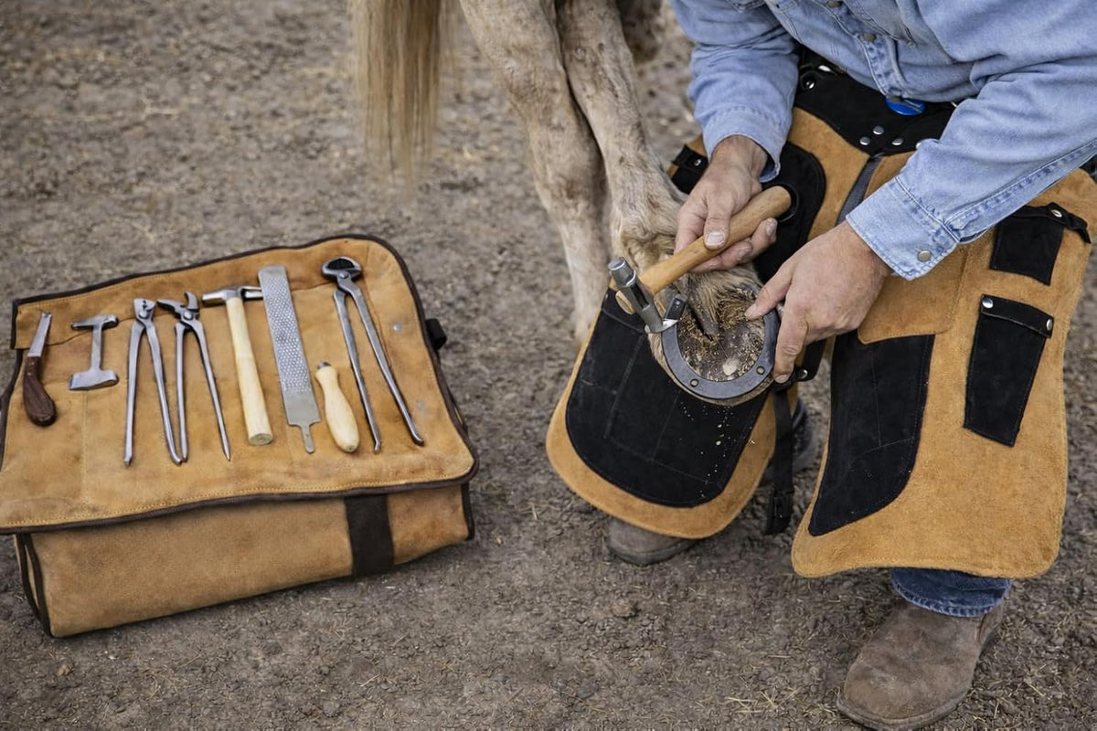 8 Piece Horse Shoe Farrier Hoof Grooming Tool Kit Carry Bag Apron Leather 98479