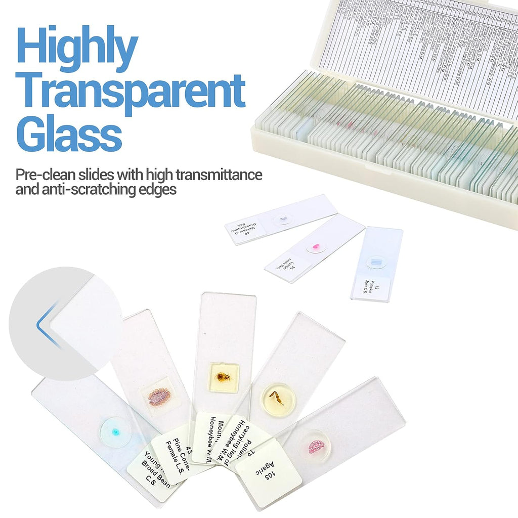 60 Microscope Slides with Specimens for Kids, Prepared Microscope Slides for Kids Microbiology, Prepared Microscope
