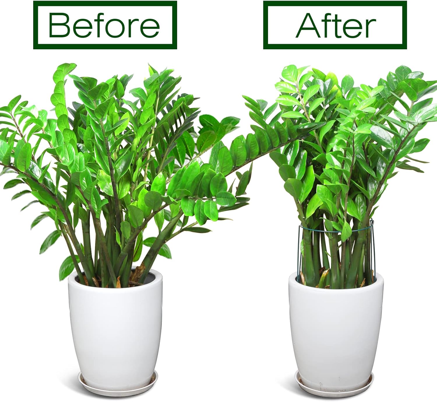 Plant Support Stakes, 4 PCS Plant Stakes, Plant Support, Peony Cages and Supports, Garden Stakes, Plant Stakes for
