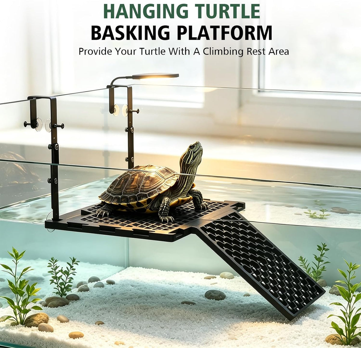 Adjustable Hanging Turtle Basking Platform with Ramp & Feeding Tray
