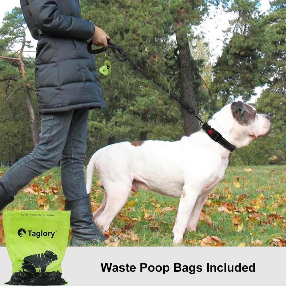 Rope Dog Leash 6 FT with Comfortable Padded Handle, Highly Reflective Threads Leash and Anti-Tangle Clip for Walking