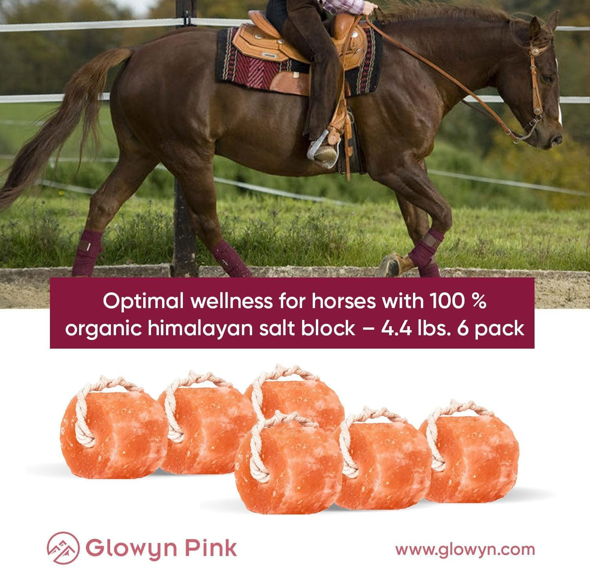 Glowyn Himalayan Salt Lick-Natural Minerals Block on Rope - 4.0 lbs. (6 Packs) - Great for Horses, Cattle, and Live