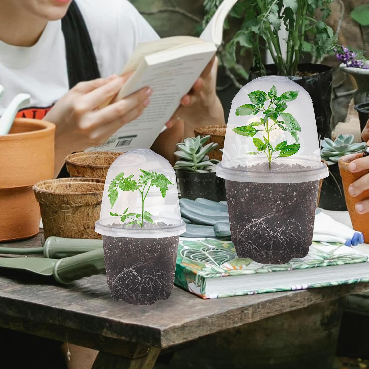 4 Inch Plastic Nursery Pots with Humidity Dome for Plants Clear Seed Starter Pots Seedlings Planting Pots for Garden