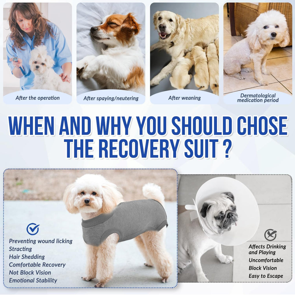 Recovery Suit for Dogs, Female Male Dog Spay Neuter,Soft Cotton, M