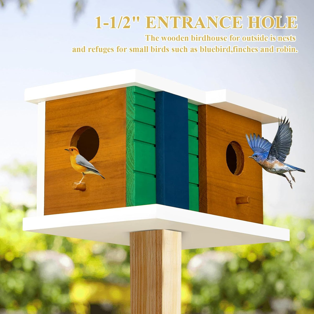 Wooden Birdhouse with 2 Entrances and Rear Access