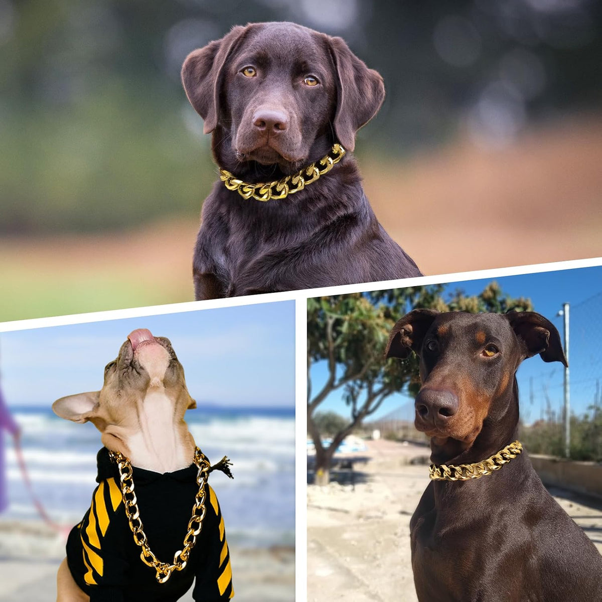 19MM Thick Light Metal Cuban Link Collar - Gold Dog Chain for Medium Large Dogs - 20 Inch Necklace