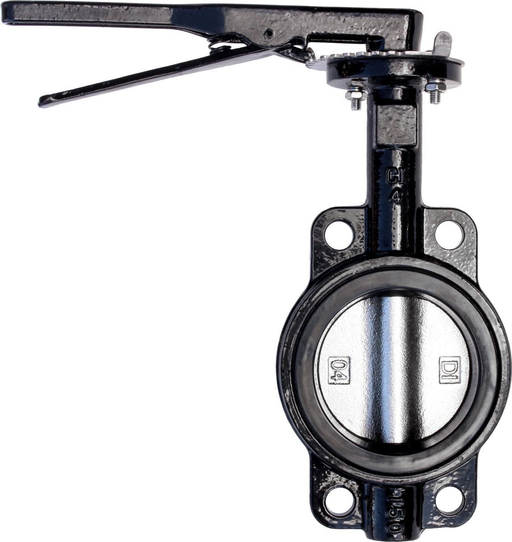 RKLO4 Cast Iron Butterfly Valve, Lever Style, EPDM, Black, 4"