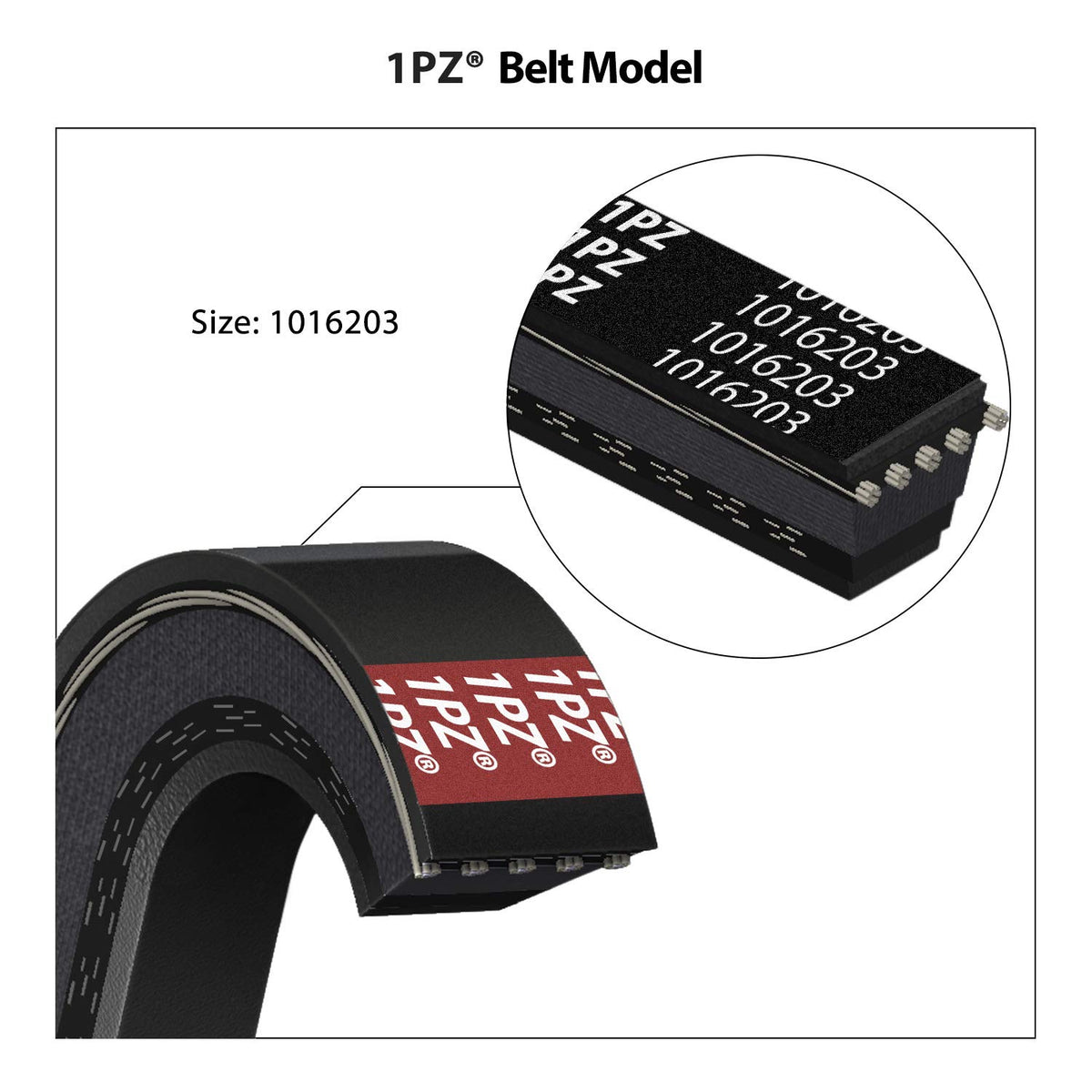 1PZ 1016203 Club Car Drive Belt for 1992-Up DS & 2004-2014 Precedent Golf Cart