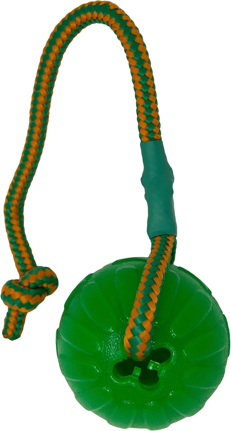 Everlasting Fun Ball on a Rope Dog Toy,Greens,Medium/Large