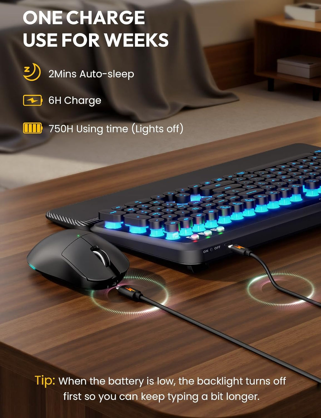 Wireless Keyboard and Mouse, Backlit Typewriter with Magnetic Wrist Rest | Phone Holder, Light Up Round Keycaps