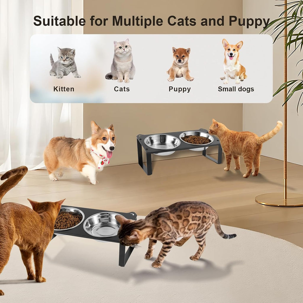 2 Set Elevated Cat Food Water Bowls, 4 Stainless Steel Bowls for Indoor Pet with Cute Metal Stand, 10° Tilted