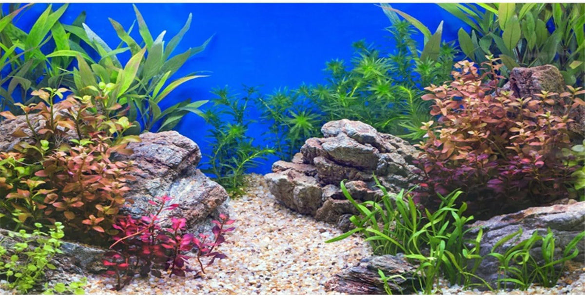 48x24 in Aquatic Plant Fish Tank Background Stone Aquarium Backdrop