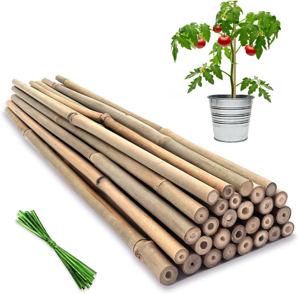Plant Stakes,18 Inches Natural Garden Bamboo Sticks,BOVITRO 20Pcs Plant Support Stakes for Tomatoes,Beans,Vegetable