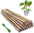 Plant Stakes,18 Inches Natural Garden Bamboo Sticks,BOVITRO 20Pcs Plant Support Stakes for Tomatoes,Beans,Vegetable