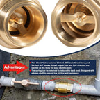 2 Pcs 3/4 NPT Thread Spring Check Valve, Brass Non Return One Way Valve Horizontal Vertical Inline Water Spring Check Valve for Well, Pump, Tank, Backflow Prevention 2 Pack
