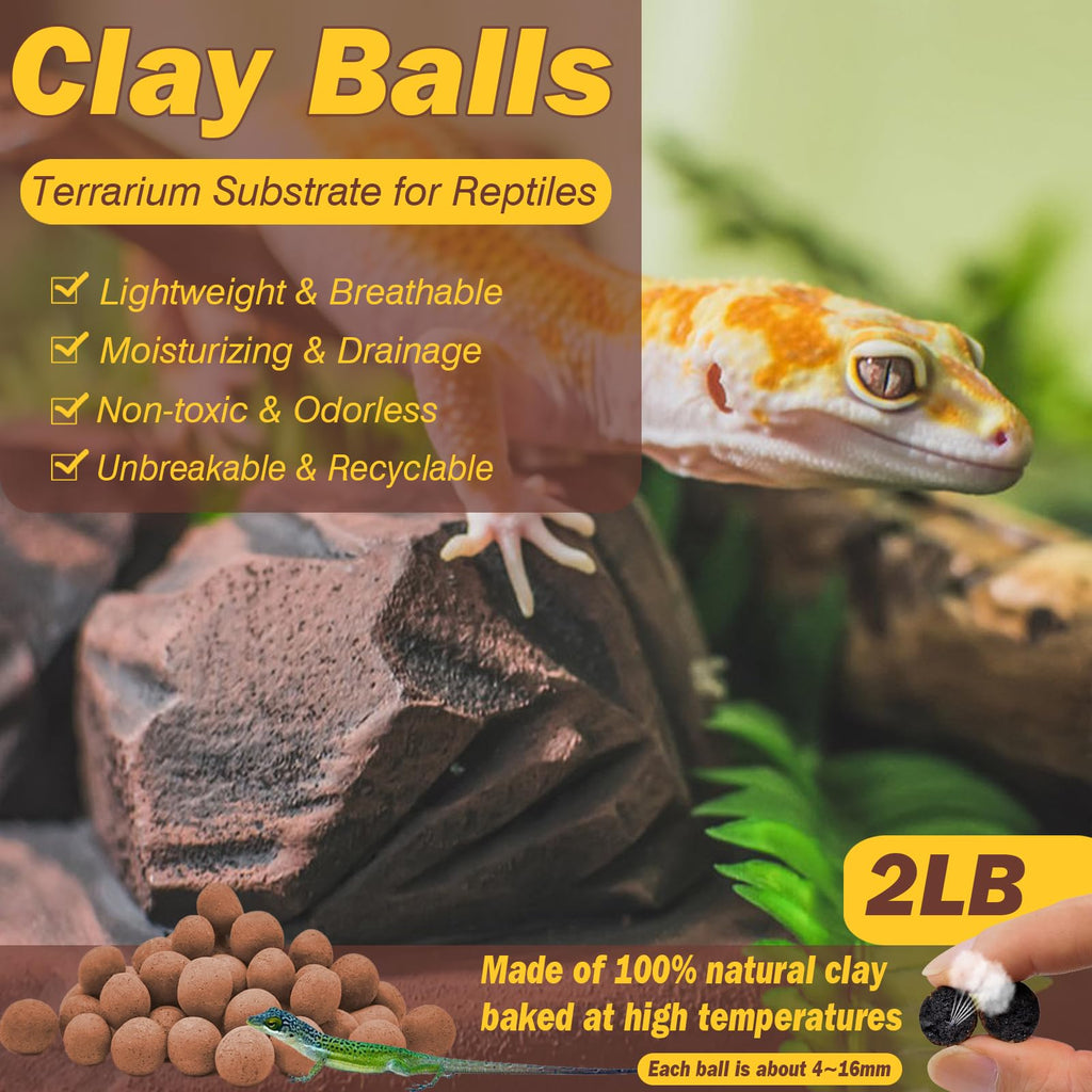2 LBS Leca Clay Balls for Reptile & Terrarium Substrate