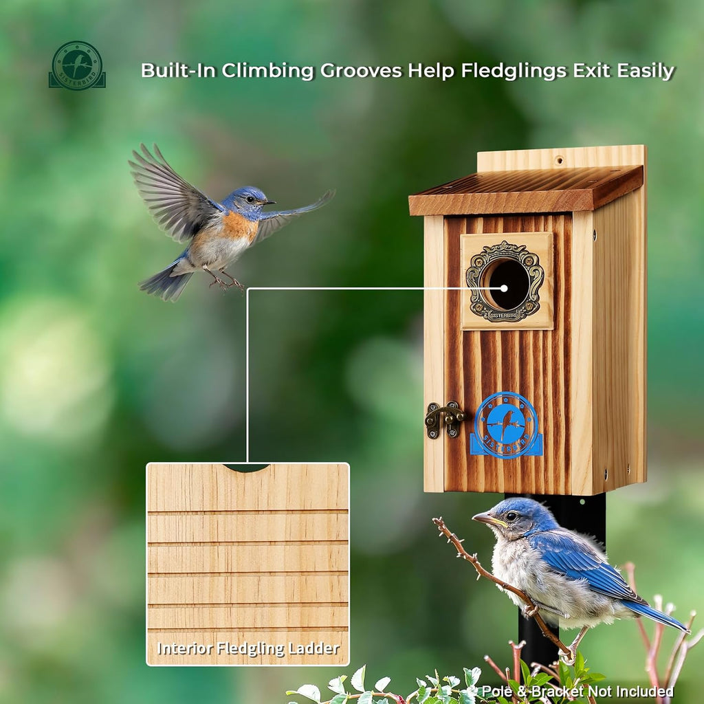 Premium Bluebird Houses for Outside, Bird House, Warming Gifts