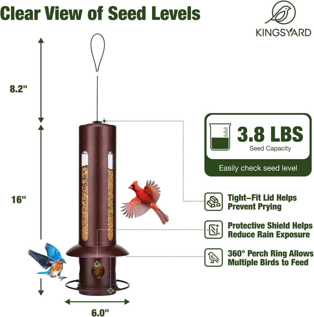 Squirrel Proof Hanging Bird Feeder for Outdoors