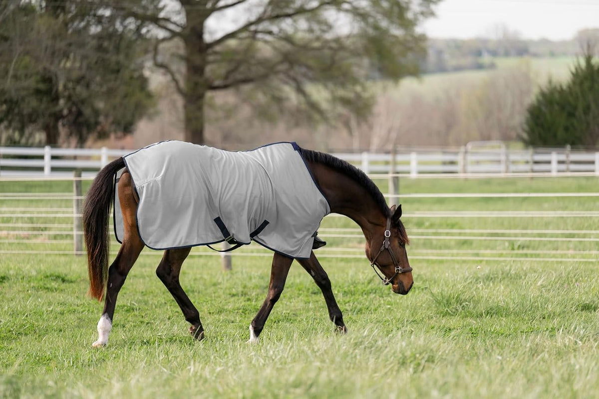 Miller's Fly Sheet for Horses-Gray with Royal Trim-78