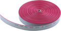 Antrader IDC Flat Ribbon Cable,10 Wire (32ft) for 2.54mm Connectors, Grey