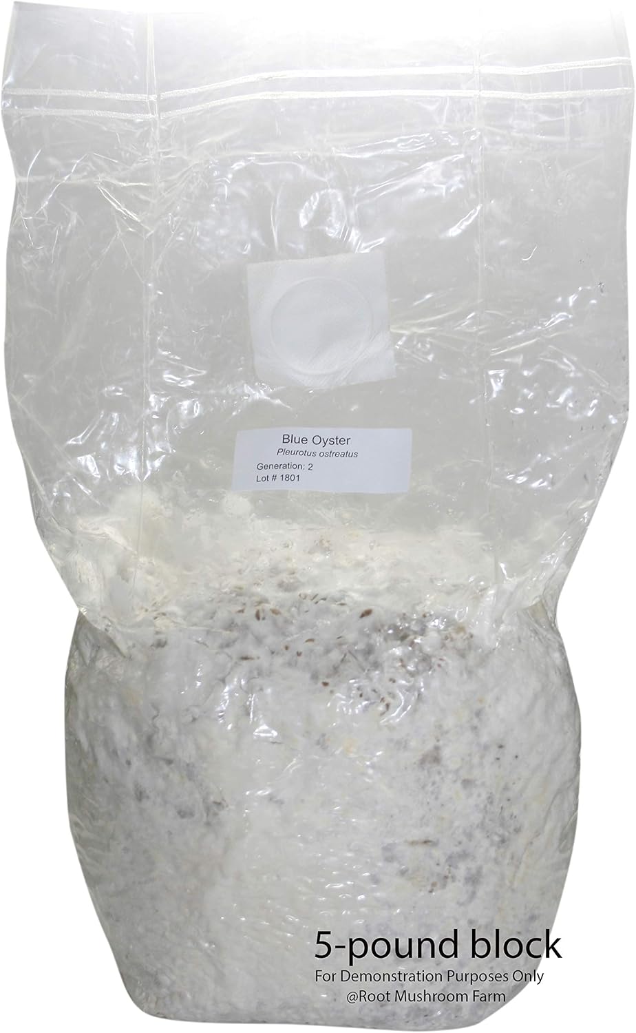 50 Mushroom Growing Bags/Mushroom Spawn Bags, Middle Size 5" X 5" X 19", 0.22 Micron Filter, 3 Mil Polypropylene