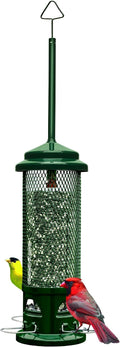 Squirrel Buster Legacy Squirrel-Proof Bird Feeder for Wild Birds – 4 Metal Removable Perches, 2.6 lb Seed Capacity