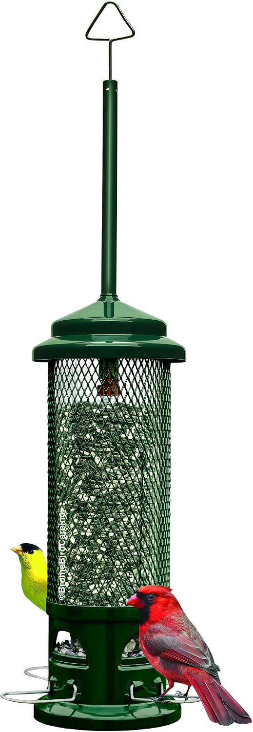 Squirrel Buster Legacy Squirrel-Proof Bird Feeder for Wild Birds – 4 Metal Removable Perches, 2.6 lb Seed Capacity