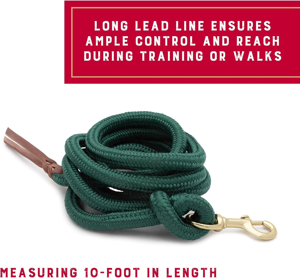 10' Performance Lead Rope, Brass-Plated Snap