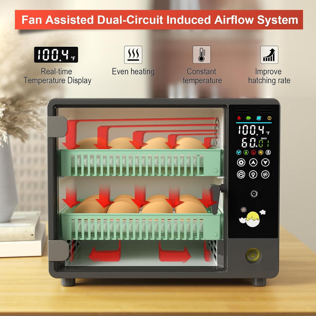 Egg Incubator for Hatching 24 Chicken Eggs |84 Quail Eggs