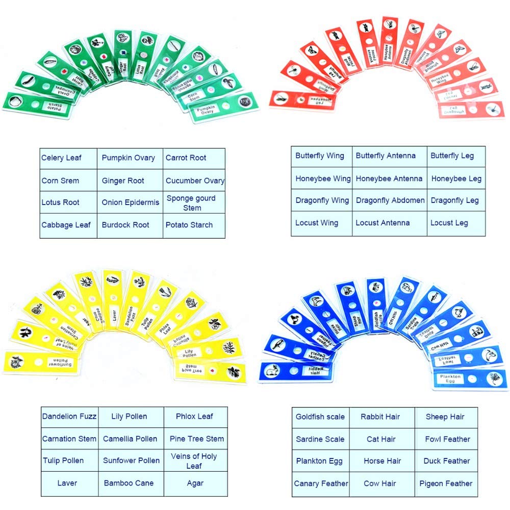 Prepared Microscope Slides, 48pcs Plastic Animals Insects Plants Flowers Sample Specimens