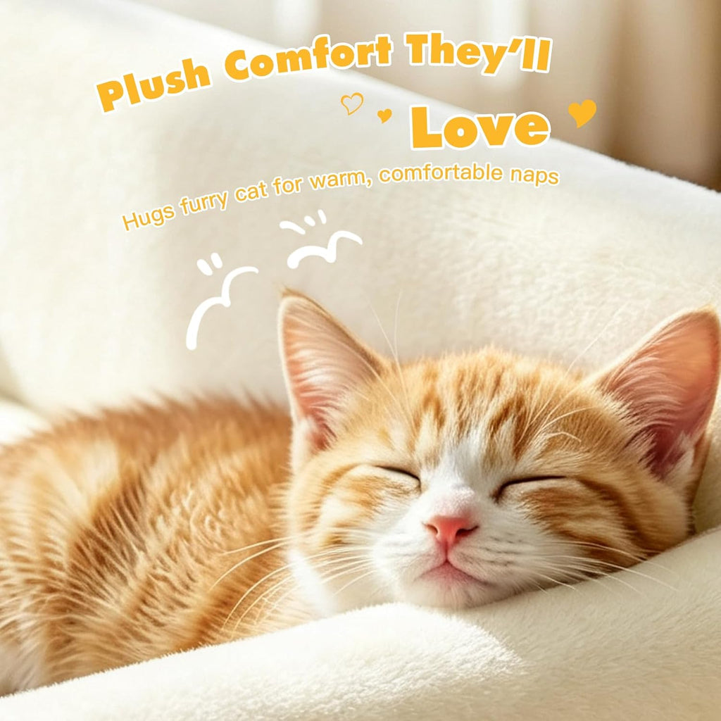 Elevated Cat Couch Bed for Indoor Cats, Sturdy Metal Frame Cat Sofa