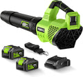 Leaf Blower Cordless, 650CFM Electric Leaf Blowers with 2 x 5.2Ah Batteries and Charger, 3 Speed Modes, 1 x
