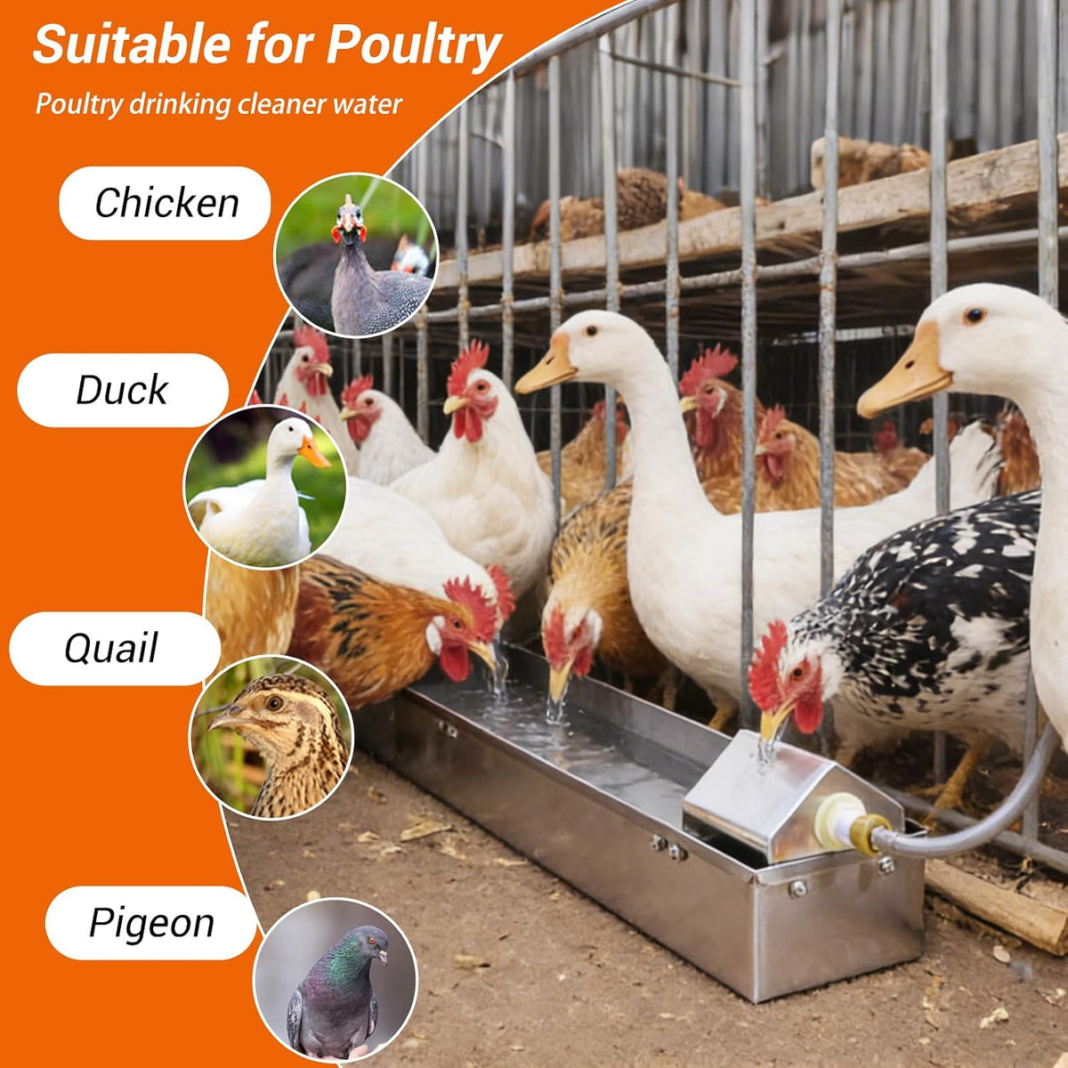 Automatic Chicken Waterer Dispenser 1 Gallon Large Stainless Metal Poultry Waterer Feeder Hanging Chicken Watering