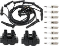 FD487 2PCS Ignition Coil+8 Spark Plug+Wire Set for 1992-1997 Ford Crown | E-150 Expedition F-150/250 GrandMarquis