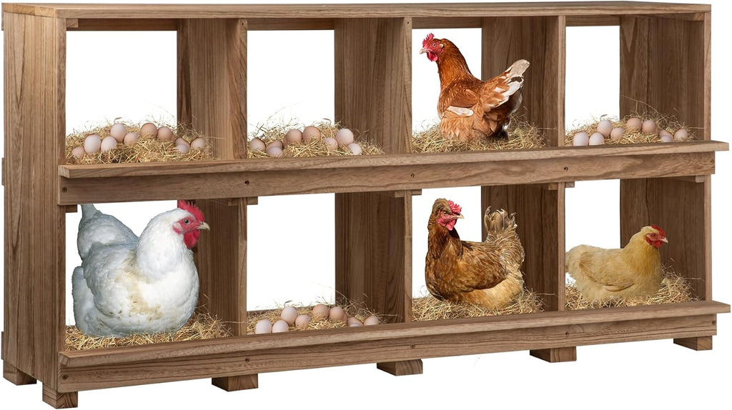 Nesting Boxes for Chickens 8 Compartment
