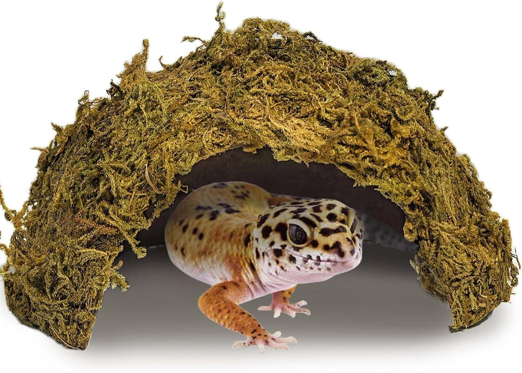 1PCS Leopard Gecko Hide, Coconut Reptile Hides Cave, Snake Hideout Mossy Caves Climbing Hide Reptile Tank Decor for
