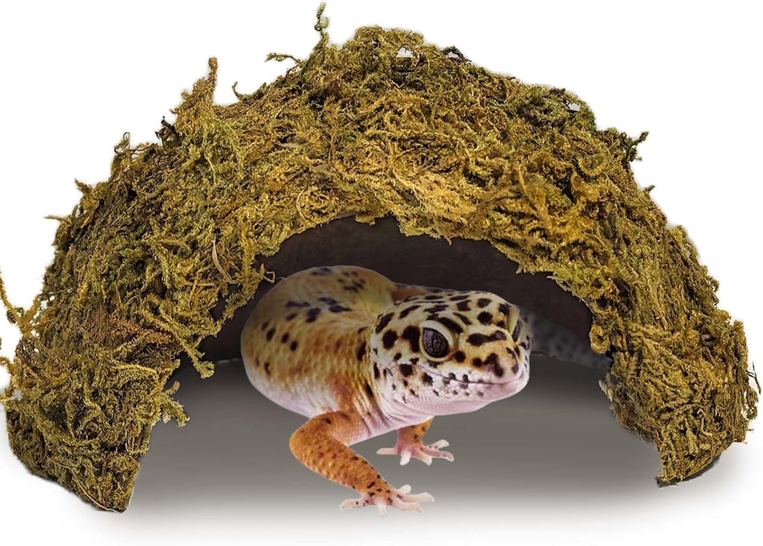 1PCS Leopard Gecko Hide, Coconut Reptile Hides Cave, Snake Hideout Mossy Caves Climbing Hide Reptile Tank Decor for