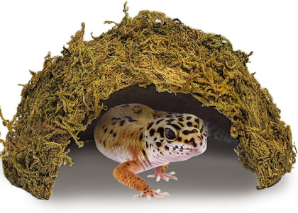 1PCS Leopard Gecko Hide, Coconut Reptile Hides Cave, Snake Hideout Mossy Caves Climbing Hide Reptile Tank Decor for