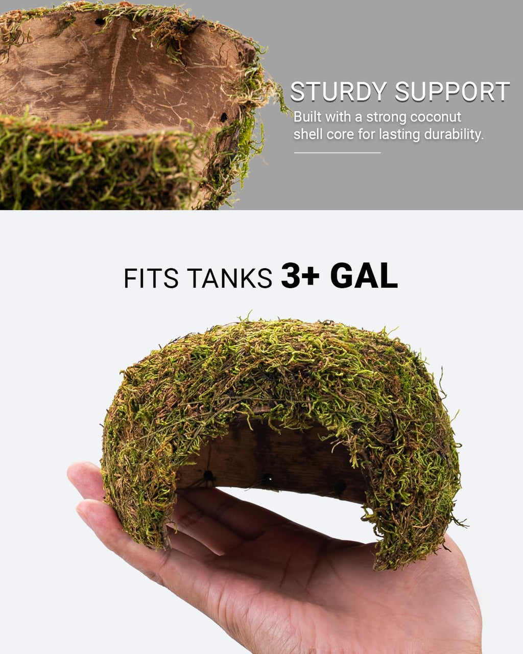 Reptile Hides and Caves – Leopard Gecko Tank Accessories, Natural Dome Reptile Cave & Shelter, Gecko Tank Accessories
